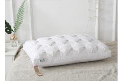China 40S Anti Bacteria White Goose Down Pillow supplier