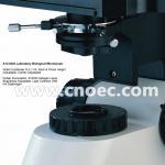 Laboratory Microscope 40X -1000X With CE Biological Microscope A12.0203