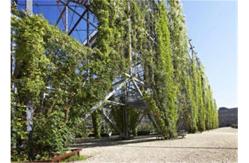 China Ferrule Stainless Steel Cable Trellis 1.2mm Rope Diameter For Plant Climbing supplier