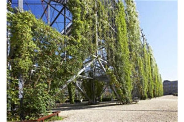 Ferrule Stainless Steel Cable Trellis 1.2mm Rope Diameter For Plant Climbing