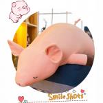 Kawaii Pig Plush Pillow , Full Hollow Cotton Stuffed Pig Pillow 40 - 120CM