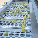 380V Fruit And Vegetable Processing Line Fully Automatic Cleaning Drying Grading