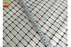 China PP Support Industrial Plastic Netting , Black Plastic Mesh Barrier Fence Netting supplier