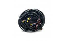 China 8 Cylinder ECU Wiring Harness 56 Pin Sequential Injection LPG CNG Wiring Harness supplier