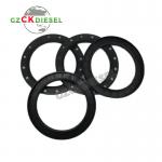 Crankshaft Rear Oil Seal BH1517E for Engine 3D84 3D88