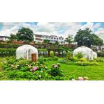 Fashion Clear Bubble Tents for sale