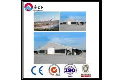 China Customized Automatic Broiler Floor Feeding Line System With Steel Structure Chicken House supplier