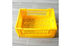 China Plastic 5L PP Folding Storage Basket Desktop Decoration supplier
