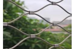 China Safety Flexible Large Zoo Raptor Peacock Enclosure Birds Aviary Mesh Resilient supplier