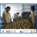 Peach / Apricot / Plum Fruit Juice Production Line Fruit Processing Machinery for sale
