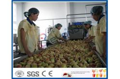 China Peach / Apricot / Plum Fruit Juice Production Line Fruit Processing Machinery supplier