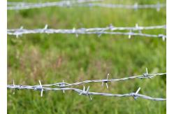 China Rust Resistance 3or 4inch Barb Distance Double Strand Reverse Twist Barbed Wire supplier