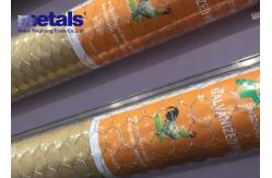 China ODM Poultry Galvanized Hex Netting Wire For Chicken Mesh 1/2 supplier