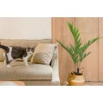 Areca Palm Artificial Landscape Trees 170cm House Office Decoration