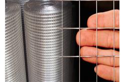 China 15M Welded 25x25mm Hot Dipped Galvanized Iron Wire Mesh supplier