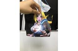 China 3D 0.4mm TPU Clothes Patch Custom Lenticular Printing supplier