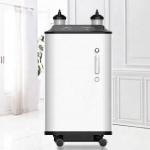 96% Medical PSA 10L Oxygen Concentrator Machine 10 Ltr for sale