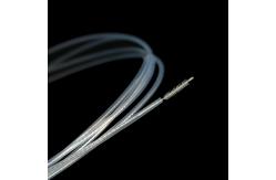 China Clinical Disposable Cytology Brush With Smooth Sphere Brush Head supplier