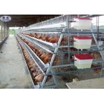 China 4 Tiers 128 Birds Layer Chicken Cage Galvanized Poultry Farm For Hens for sale