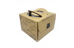 China Single Pass Printer Corrugated Inkjet Printing Machine Carton Packaging Box supplier