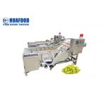 500kg/h Grape Washing And Drying Machine SUS 304 Stainless Steel for sale