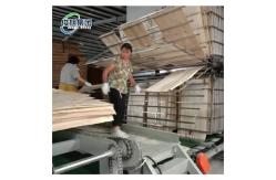 China Customizable Veneer Dryer Machine Fully Automatic Control supplier