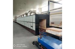 China Customized Ceramic Tunnel Kiln Continuous Automatic Temperature Controlling Nature Gas supplier
