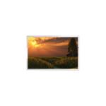 P215HAN02.0 CELL 21.5 inch 1920*1080 LCD Screen Module for sale