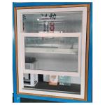 OEM Single Hung Vinyl Windows Soundproof For Office Building Customizable for sale