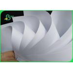 Outstanding Whiteness Uncoated Woodfree Offset Paper 80gsm In Ream 700mm Width