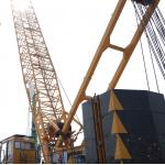 All Terrain Safe 220T Construction Crawler Crane Easy To Complete Lifting Tasks for sale