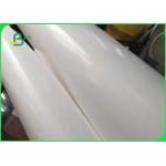 Biodegradable Single PE Laminated Coated Paper Jumbo Roll For Food Wrapping Paper for sale