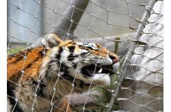 China Stainless Steel 316 / 316L  Zoo Mesh , Protective Tiger cage Enclosure Fencing supplier