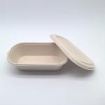 Greaseproof Oval Biodegradable Bagasse Tableware Bento Box For Salad for sale