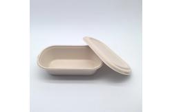 China Greaseproof Oval Biodegradable Bagasse Tableware Bento Box For Salad supplier