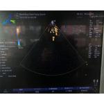 Housing Cracked GE 3S Ultrasound Probe Repair For Crystal Array Replacement for sale