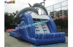 China Dolphin Outdoor Inflatable Water Slides, Swimming Pool Slide With UL Blower supplier