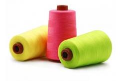 China High Strength Poly Poly Core Spun Thread TFO 22S/2 supplier