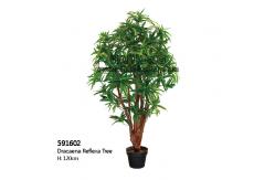 China High Simulation Artificial Tropical Plant Dracaena Reflexa Tree 120cm Height supplier