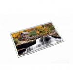 G101EVT04.0 10.1 inch 1280x800 40 pins Connector LCD DISPLAY for sale