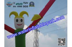 China Attractive Air Dancer Inflatable Advertising Rental  6M  with Parks supplier