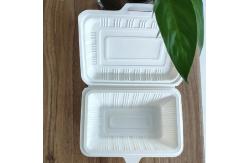 China Eco Friendly 900ml Corn Starch Tableware Takeaway Food Container Biodegradable supplier