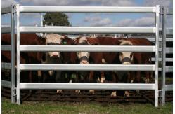 China 30pcs Bundle Heavy Duty Portable Cattle Panels For Sale & Gate supplier