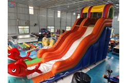 China Factory Commercial Goldfish Inflatable Slide Inflatable Dry Slides For Outdoor supplier