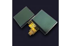 China Transflective FSTN Custom Mono LCD Panel REACH Seven Segment LCD Panel supplier