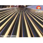 ASTM A269 TP316L Bright Annealed Seamless Tube For Sea Water Equipment for sale