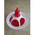 A feeding dish for ducks and geese for sale