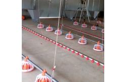 China Full Automatic 12 Birds PP Chicken Nipple Drinker System supplier