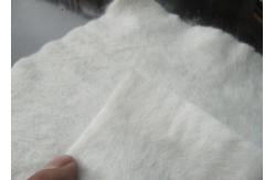 China PET Non Woven Geotextile Geosynthetic Fabric Continuous Filament 1m - 6m Width supplier