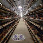 China Automatic 160 Birds Layer Poultry Farm Cage For Egg Layers for sale